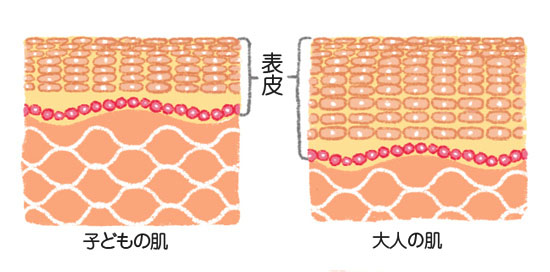 赤ちゃんや子供の肌　大人と比べて半分の厚さ　紫外線.com　子供のための紫外線対策協会
